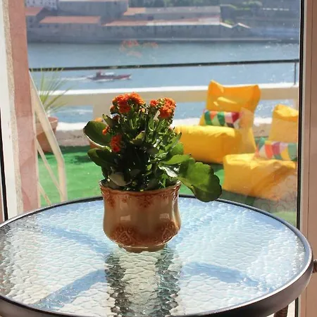 Oportobestview-river